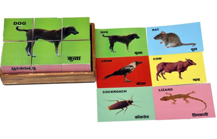 d2fa250c9a914aa7a899b69d83f7247d